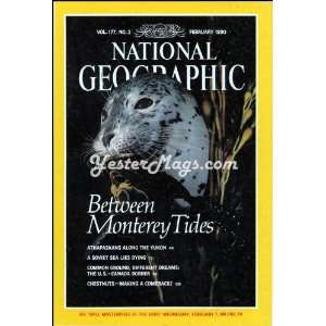  Vintage Magazine Feb 1990 National Geographic: Everything 