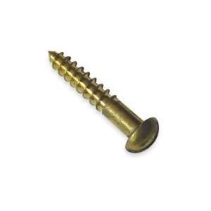  #10 Brass Wood Screws RH 10 x 1 3/4