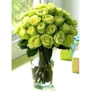 Two Dozen Chartreuse Roses:  Grocery & Gourmet Food