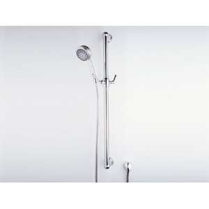   Function Hand Shower with Hose and Side Bar 1273: Home Improvement