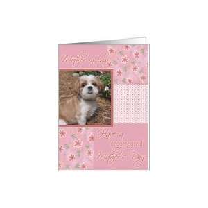  Mothers Day   doggone great mother in law Card Health 