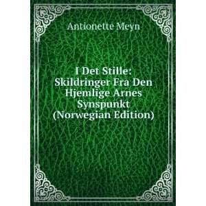   Hjemlige Arnes Synspunkt (Norwegian Edition) Antionette Meyn Books