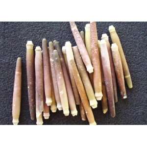  Sea Urchin Spines (Large)   25 pcs. 