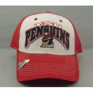  Youngstown State Penguins Adjustable Hat: Sports 
