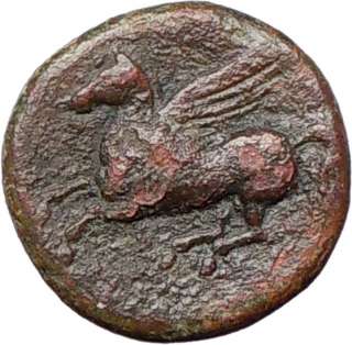 SYRACUSE Sicily317BC Agathocles Apollo Pegasus Winged Horse Ancient 