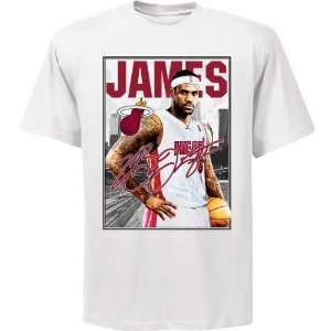  NBA Exclusive Collection Miami Heat LeBron James Baseline 