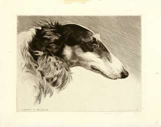   & VeryRare Vint. 1930 Ltd Ed Etching ZAGOR OF ALTHEA Borzoi  