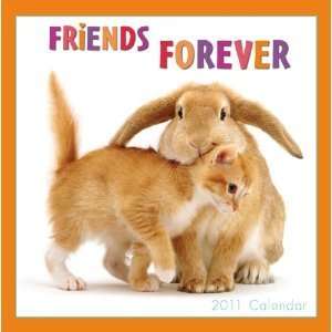  Friends Forever 2011 Mini Calendar: Office Products
