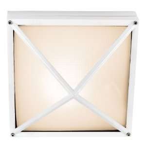 Access Lighting 20330 SAT/FST Oden   Two Light Wet Location Wall 