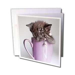  VWPics Cats and Dogs   Black Kitten in Cup   Greeting 
