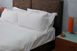 STAR HOTEL KING GOOSE DOWN PILLOW SOFITEL HOTELS  