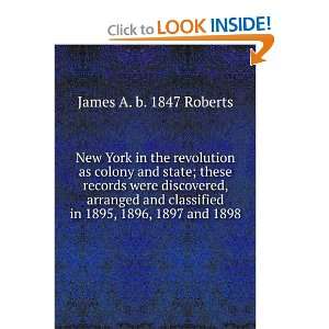 New York in the revolution as colony and state; these records were 