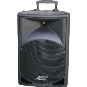   Full Range 15 2 Way Active Loudspeaker: Musical Instruments