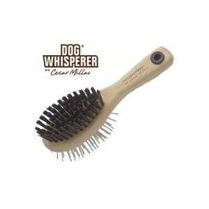   Dog Whisperer Bristle & Pin Grooming Brush for Dogs large Pet