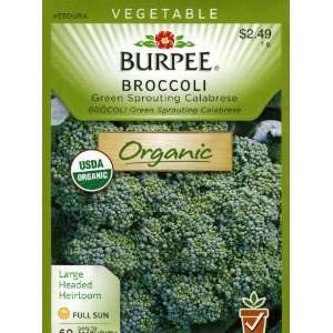  Burpee 60165 Organic Broccoli Green Sprouting Calabrese 