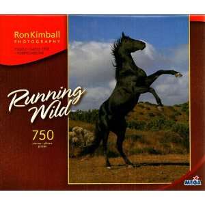   Photography Running Wild Black Horse 750 Piece Puzzle: Toys & Games