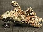     Native Copper   Rough   M 1424   130.0g Excellent Cabinet Specimen