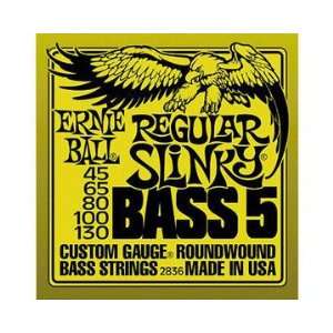 Ernie Ball Regular Slinky Bass 5 (Reg Slinky 5 St Bass 45 130):  