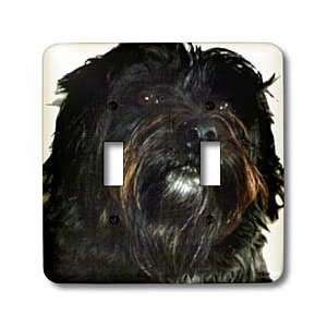 Sandy Mertens Dog Designs   Shaggy Dog   Light Switch Covers   double 