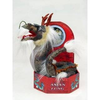 Sababa Dragonology 14 Inch Asian Lung Dragon Plush by Sababa Toys