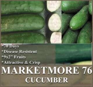   Cucumber seeds   4 GARDEN & DISEASE RESISTANT 9x2 long SWEET FLAV