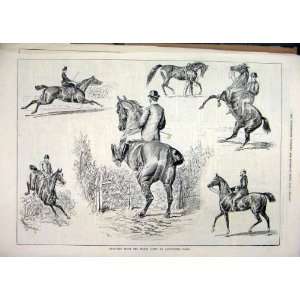   Sketches Horse Show Alexandra Palace Jumping Print