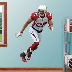  Kerry Rhodes Fathead Wall Graphic   NFL
