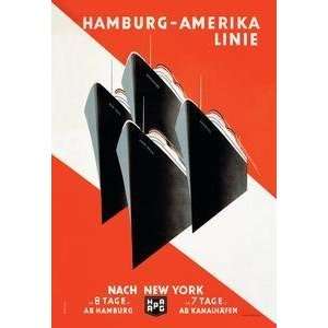  Vintage Art Hamburg Amerika Cruise Line   02469 0