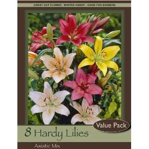  Hardy Asiatic Lily Mix Pack of 8 Bulbs Patio, Lawn 