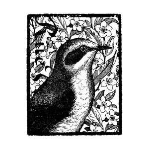    Magenta Cling Stamps   Garden Warbler Arts, Crafts & Sewing