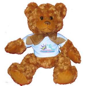   princess Vanessa Plush Teddy Bear with BLUE T Shirt Toys & Games