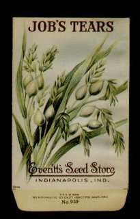 1918 JOBS TEARS LITHO SEED PACKET GALLOWAY   EVERITTS SEED 