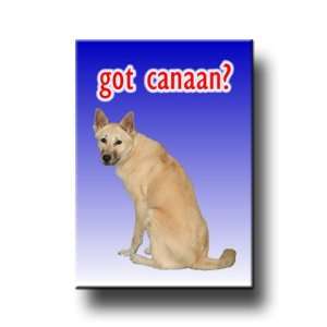 Canaan Dog Got? Fridge Magnet