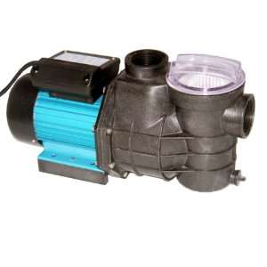  Electric Water Pump with Strainer: Home & Kitchen
