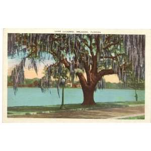 1920s Vintage Postcard Lake Lucerne   Orlando Florida 