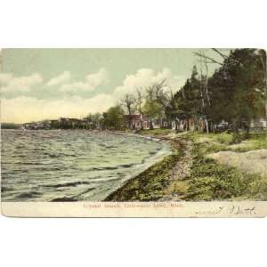   Postcard Crystal Beach   Coldwater Lake Michigan 