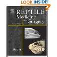 Books Medical Books Veterinary Medicine Surgery