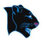 Panther mascot team spirit temporary tattoo, pkg 10