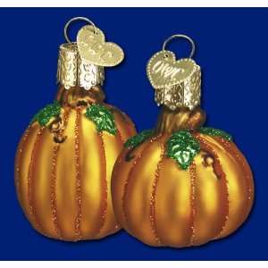  Minature Pumpkins Glass Ornaments Set of 2 Halloween Thanksgiving