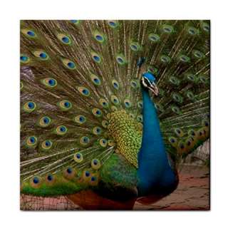 Blue Green Peacock Animal Bird Lover Ceramic Tile  