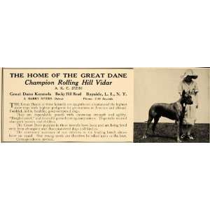  1921 Ad Great Dane Kennels Bayside L.I. NY Champion Dog 