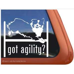  Agility Dog Agility Aussie Vinyl Window Decal Sticker 