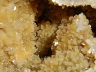 12.75 lb Septarian Dragon Stone Geode w/Golden Calcite,  