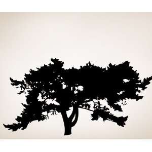  Vinyl Wall Decal Large African Tree 7ft Tall SIrwin105 