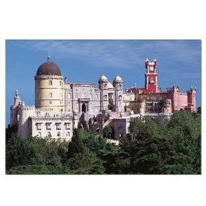   : Educa   Jigsaw Puzzle   1,000 Pieces   Sorrow Palace: Toys & Games