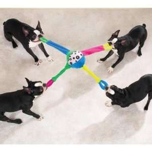  Zanies TufOf4 Ball   Tug of War Dog Toy: Pet Supplies