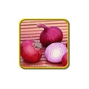  1 Oz   Onion Seeds   Red Grano Bulk Vegetable Seeds 