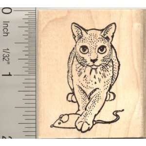   Russian Blue Cat with Catnip Mouse Rubber Stamp Arts, Crafts & Sewing