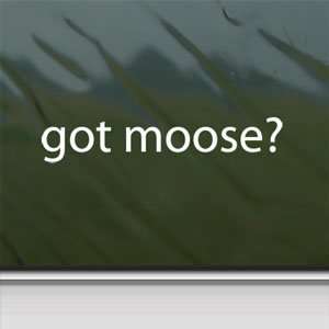  Got Moose? White Sticker Hunt Hunting Elk Antlers Laptop 