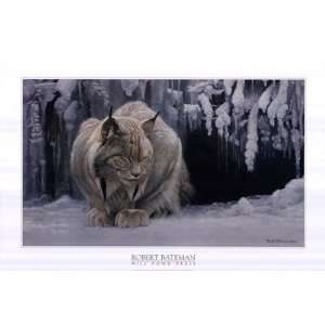    Dozing Lynx (detail) by Robert Bateman 36x24: Home & Kitchen